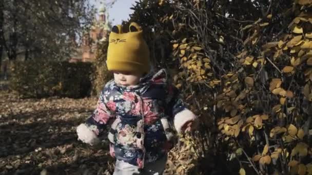 Sonbahar parkta oynarken küçük şirin kız bırakır. — Stok video