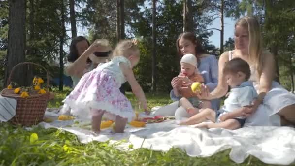 Camping, vänner på gröna gräsmattan på picknick, barnet i den friska luften — Stockvideo