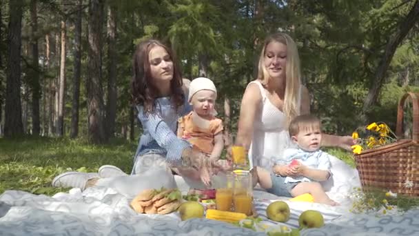 Campeggio, amici sul prato verde al picnic, il bambino all'aria aperta — Video Stock