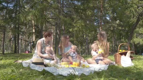 Camping, vänner på gröna gräsmattan på picknick, barnet i den friska luften — Stockvideo