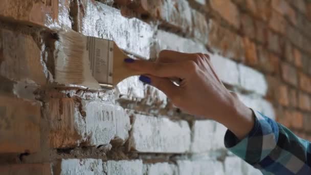 Mooie jonge vrouw doen muur schilderen. — Stockvideo