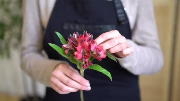 Professionelle Floristin Frau machen einen Strauß schöner Blumen mit Eukalyptus — Stockvideo