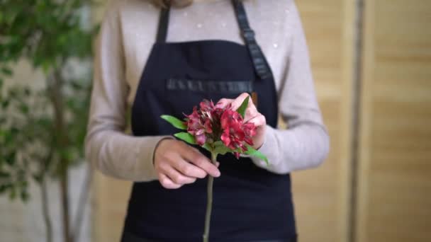 Professionele bloemist vrouw maken een boeket van mooie bloemen met eucalyptus — Stockvideo