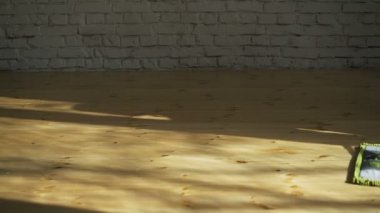 Paspas temizleyici ev işleri daha hızlı yapmak için kullanan kadın