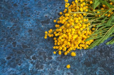 Mimoza çiçek buketi 