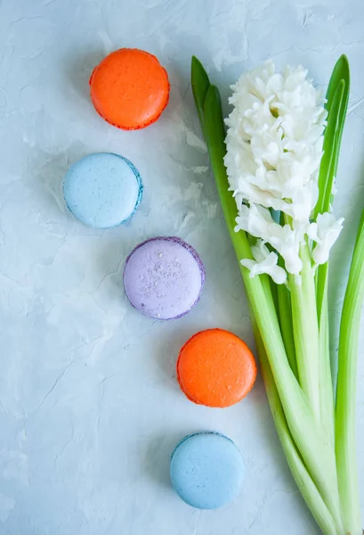 Weiße Hyazinthenblüte und bunte Macarons-Kekse — Stockfoto