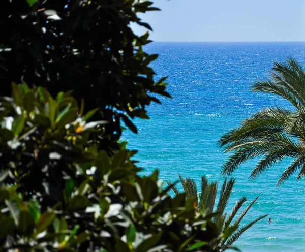 Güzel manzara mavi su ve temiz yeşil ağaçlar gökyüzüne bir