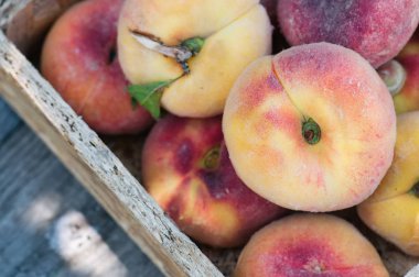 Ahşap kutusunda taze olgun şeftali. Güneşli bir gün, Yaz Bahçesi.