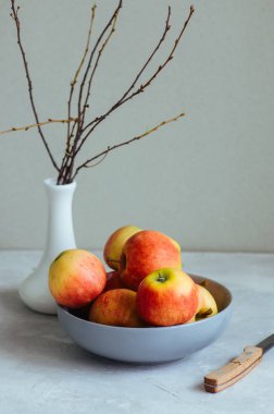 Beyaz zemin üzerinde bir kasede olgun elma. Sonbahar ruh kavramı