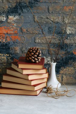 Eski kitaplar, vazo, ip ve köknar koni, tuğla b dallarında yığını
