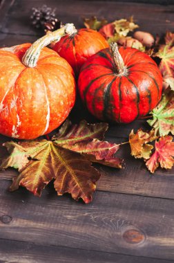 Üç üç farklı boyutu kabak ile akçaağaç yaprakları bir woode