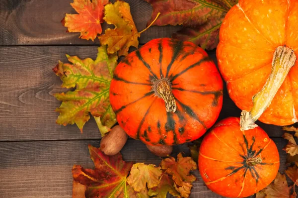 Üç üç farklı boyutu kabak ile akçaağaç yaprakları bir woode