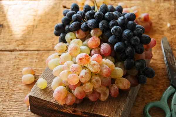 İki taze olgun üzüm mavi ve yeşil yazın. ahşap backgr üzerinde