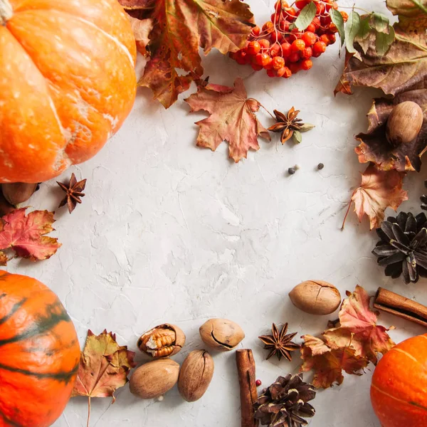 Üç kabak, akçaağaç yaprakları, pecans ve baharat beyaz taş üzerinde