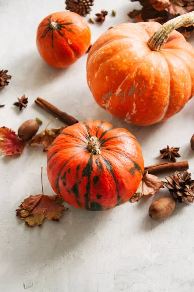 Üç kabak, akçaağaç yaprakları, pecans ve baharat beyaz taş üzerinde