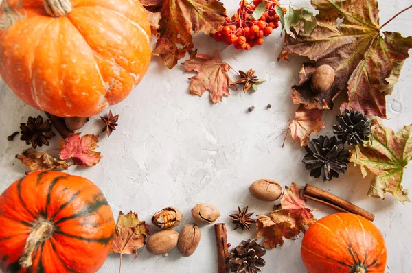 Kabaklar, akçaağaç yaprakları ve baharatlar.