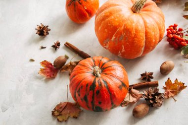 Kabaklar, akçaağaç yaprakları ve baharatlar.