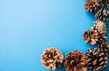 Çam kozalakları açık mavi arka planı üzerinde farklı boyutlarda