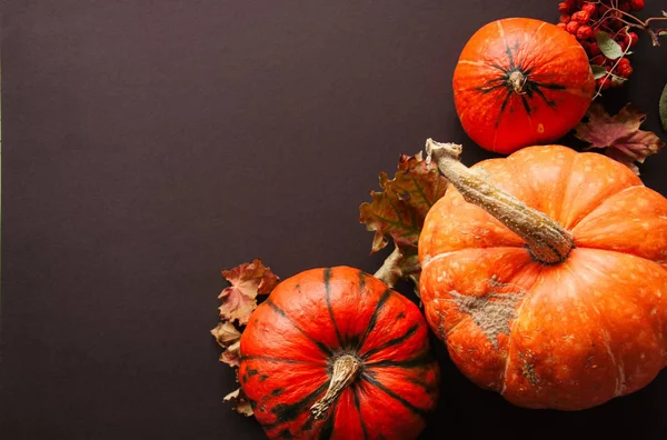 Autumn season background. Pumpkins and maple leaves on a brown b — Stock Photo, Image