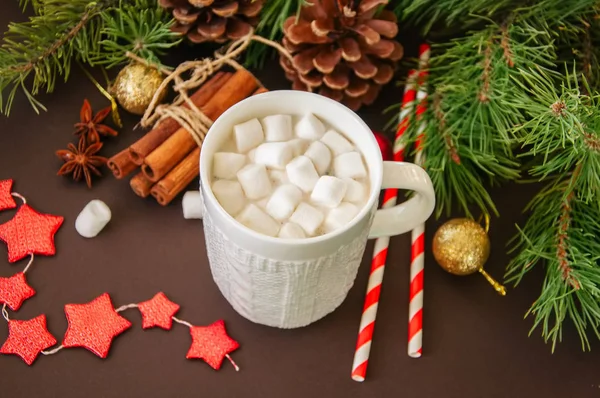 Chocolate quente com marshmallows, ramos de abeto, cones, cinna — Fotografia de Stock