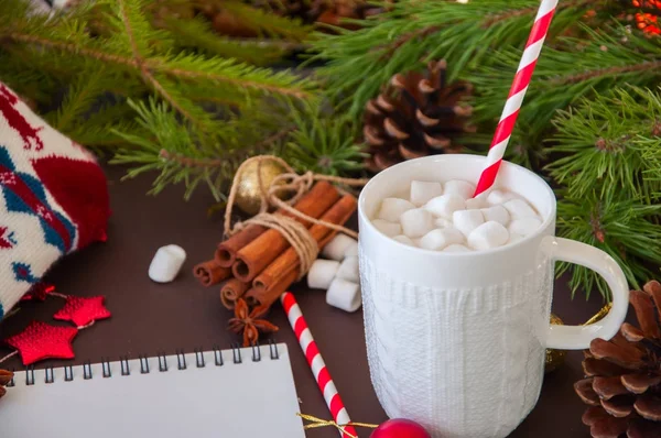 Chocolate quente com marshmallows, ramos de abeto, cones, cinna — Fotografia de Stock