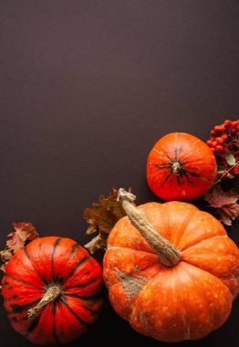 Sonbahar sezonu arka plan. Kabaklar ve akçaağaç yaprakları kahverengi b