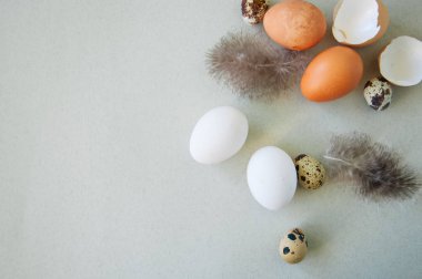 Bıldırcın ve tavuk yumurta gri bir arka plan üzerinde. Üstten Görünüm.