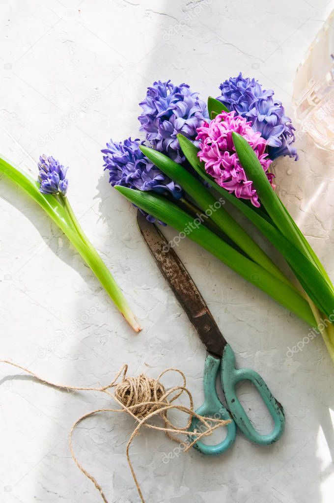 Bouquet of hyacinth flowers. Life style concept.