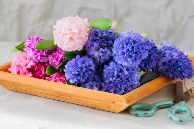 Grup bir ahşap çerçeve sümbül çiçek dolu. Yaşam tarzı fotoğraf. C