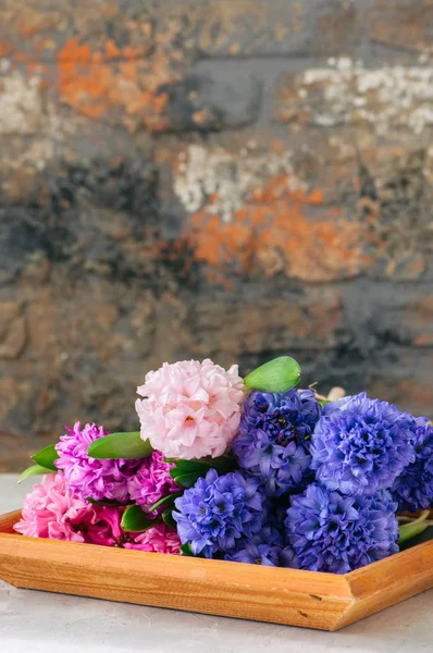 Букет різних кольорів квітів гіацинта на дерев'яній дошці . — стокове фото