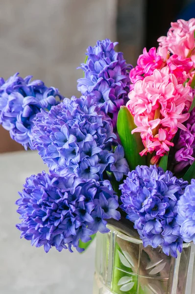 Букет з різних кольорів квітів гіацинта у вазі. крупним планом — стокове фото
