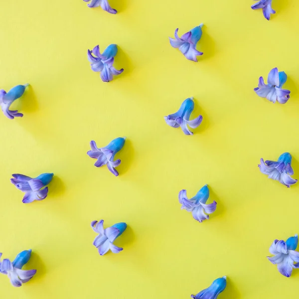 Violet bloemblaadjes van hyacinten bloem op een gele achtergrond. Top vie — Stockfoto