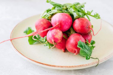 Bir tabak içinde taze olgun turp demet. Beyaz arka plan. Pas