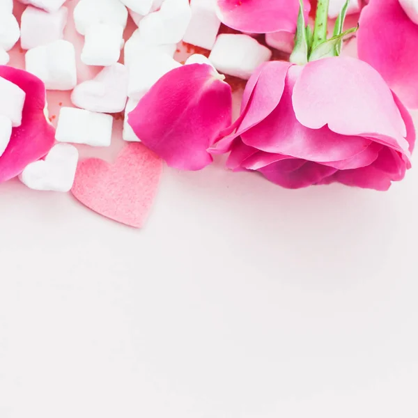 Розовый цветок и лепестки с зефиром на розовом фоне . — стоковое фото