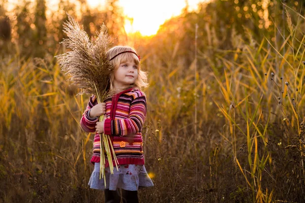 Menina no campo com o pôr do sol — Fotografia de Stock