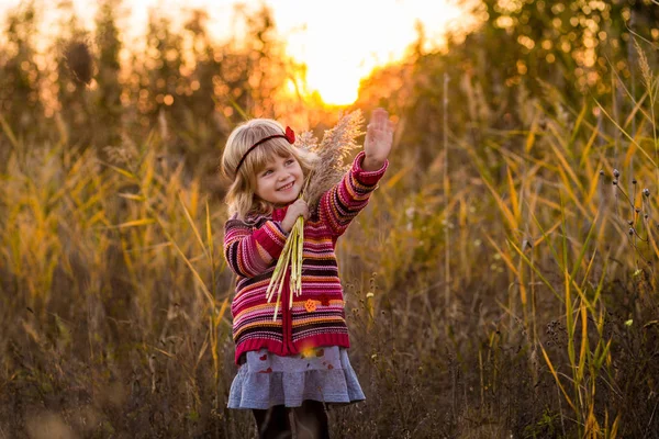 Kleines Mädchen im Feld bei Sonnenuntergang — Stockfoto