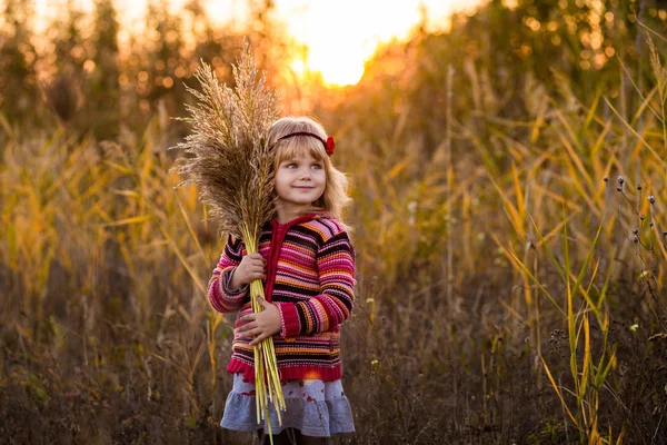 Menina no campo com o pôr do sol — Fotografia de Stock