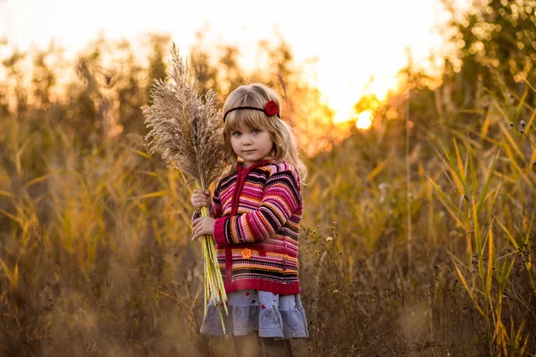 Klein meisje in veld met zonsondergang — Stockfoto