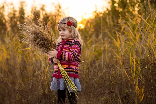 Menina no campo com o pôr do sol — Fotografia de Stock