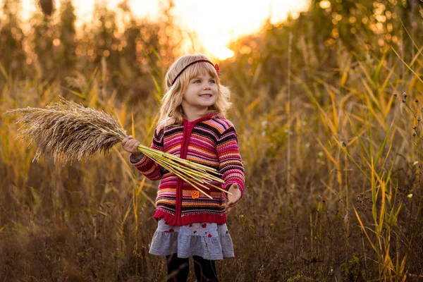 Bambina in campo con tramonto — Foto Stock