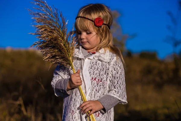 Bambina in campo con canne — Foto Stock