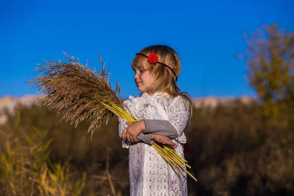 Menina no campo com juncos — Fotografia de Stock