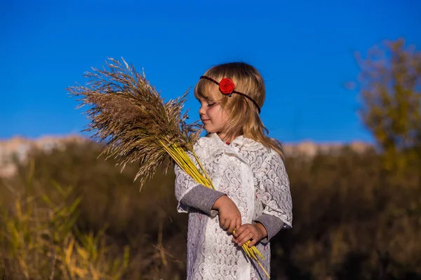 Menina no campo com juncos — Fotografia de Stock