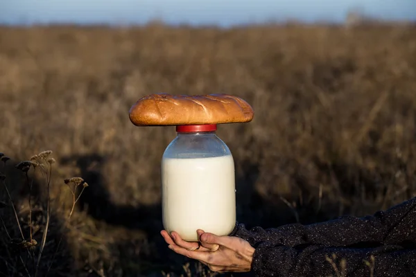 Хлеб и молоко на открытом воздухе в поле в руке мужчины — стоковое фото