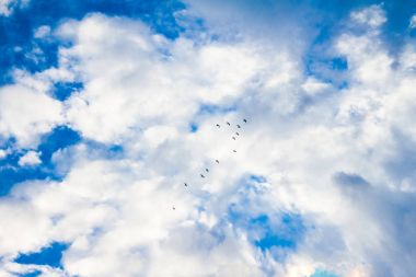 Kama ile beyaz bulutlar mavi gökyüzünde Kuşlar uçar