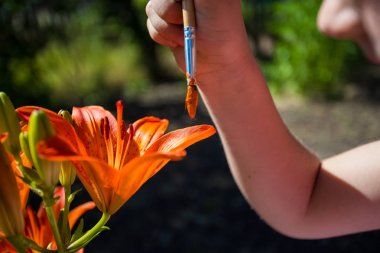 Sevimli küçük kız boya çizim ile oynuyor. Doğanın renkleri.