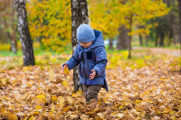 Bebé de 1 año camina sobre hojas caídas —  Fotos de Stock
