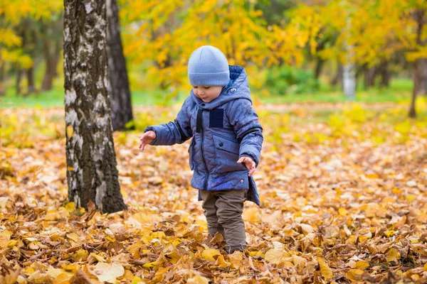 Bebé de 1 año camina sobre hojas caídas —  Fotos de Stock