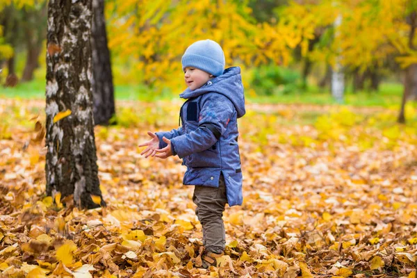 1 yaşında bebek düşen yapraklar üzerinde yürüyor