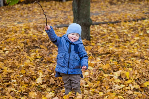 Niño pequeño de 1 año camina sobre hojas caídas —  Fotos de Stock